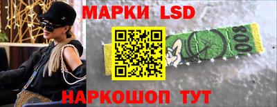 шишки Абакан