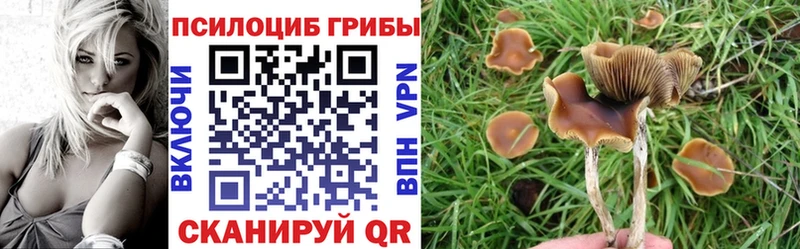 Галлюциногенные грибы мухоморы  OMG маркетплейс  Асино 
