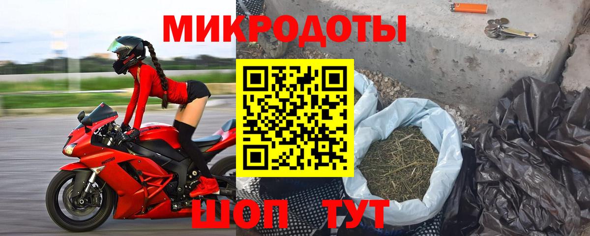 Псилоцибиновые грибы Cubensis  Вход с VPN  Асино 