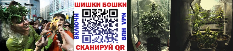 Каннабис планчик Асино